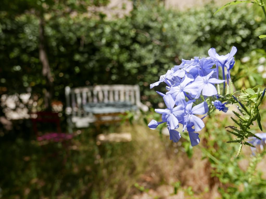 Vieux Port Panier Jardin Hotel Marseille Luaran gambar